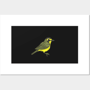 Kentucky Warbler Posters and Art